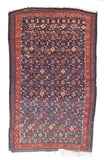 Antique Blue Shirvan-Kuba Russian Area Rug