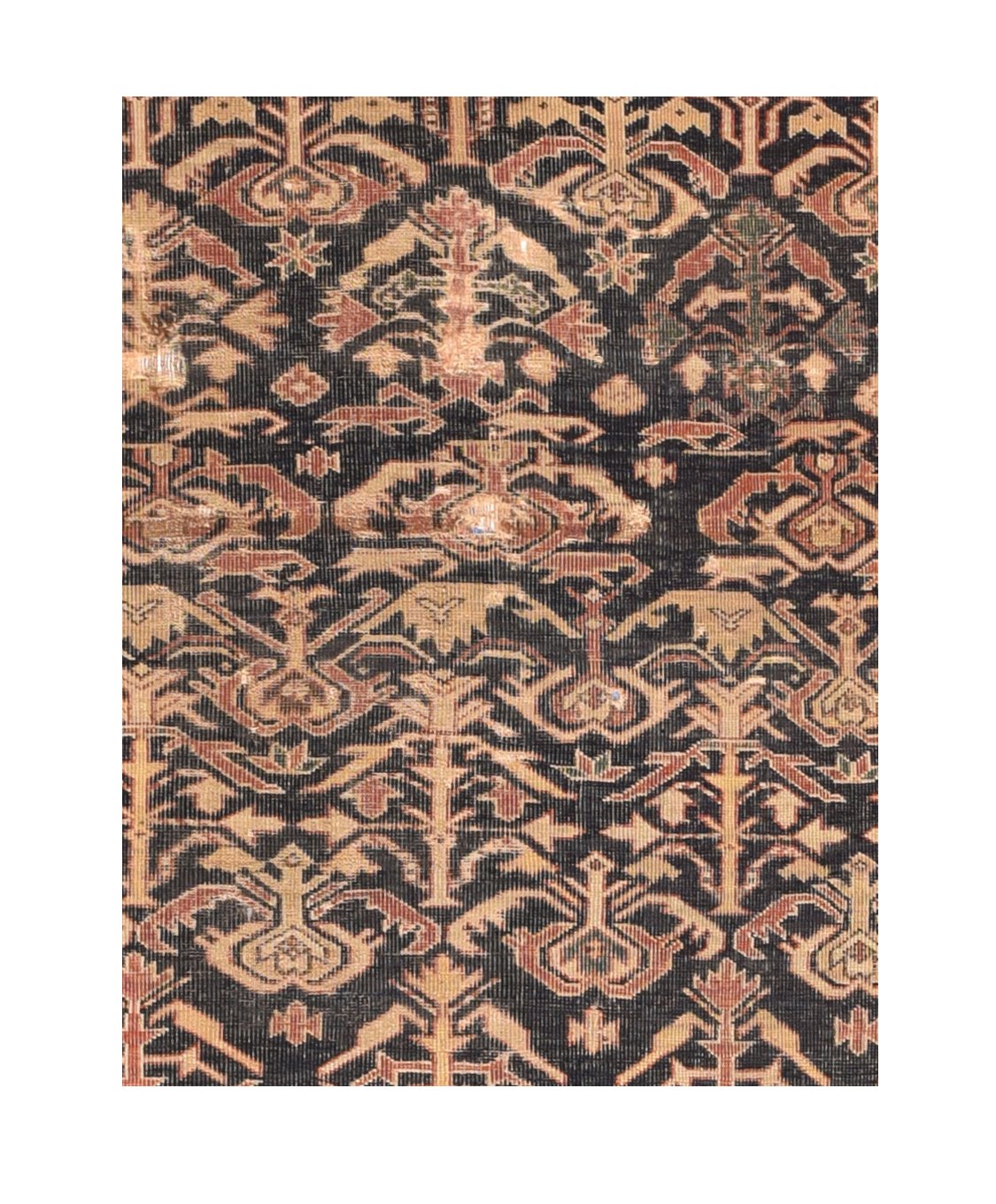 Antique Shirvan Russian Area Rug