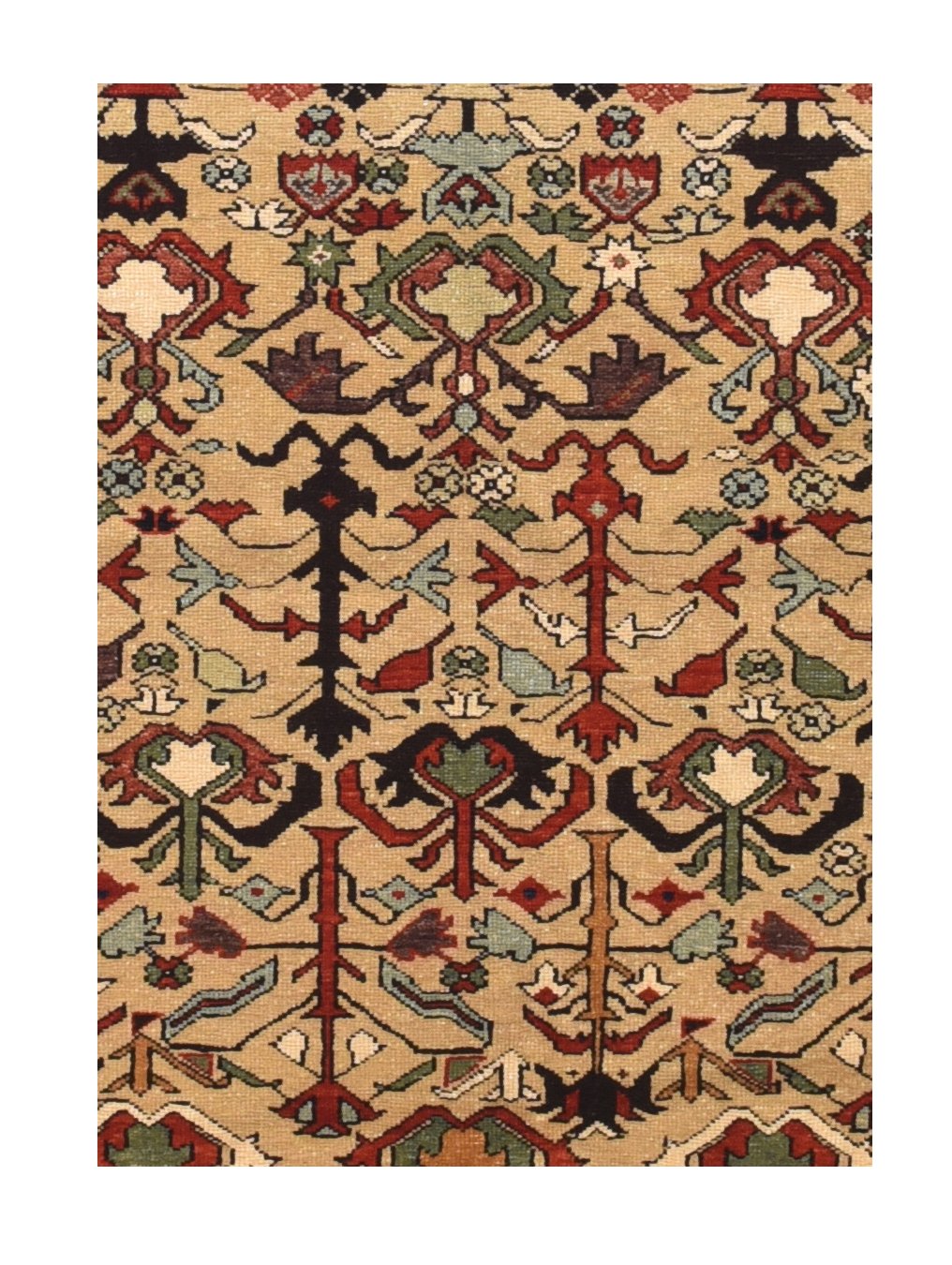 Vintage shirvan Russian Area Rug