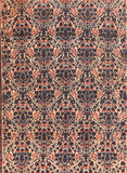 Semi Rust Afshar Persian Area Rug