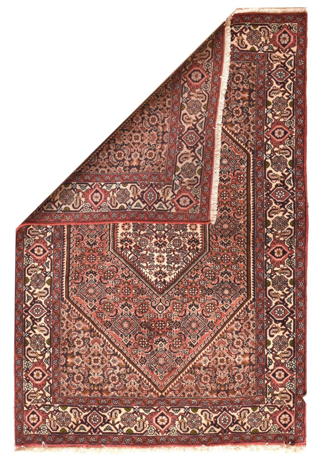 Area Rug 1111