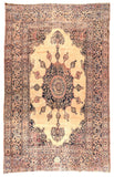 Area Rug 1233