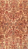 Area Rug 1234