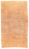 Area Rug 1235