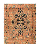 Area Rug 1239