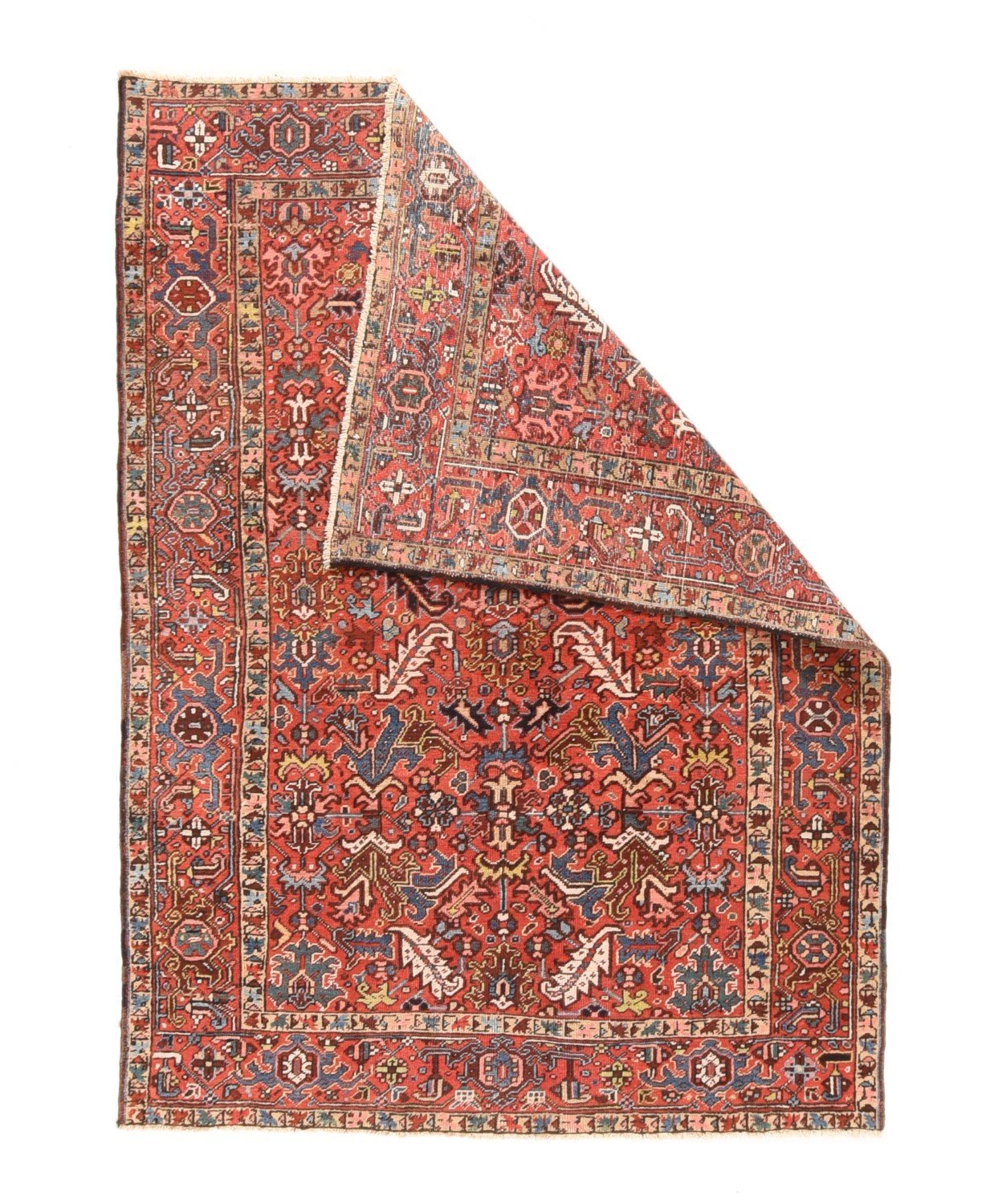 Area Rug 1247