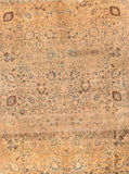 Area Rug 1258