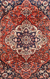 Area Rug 1261