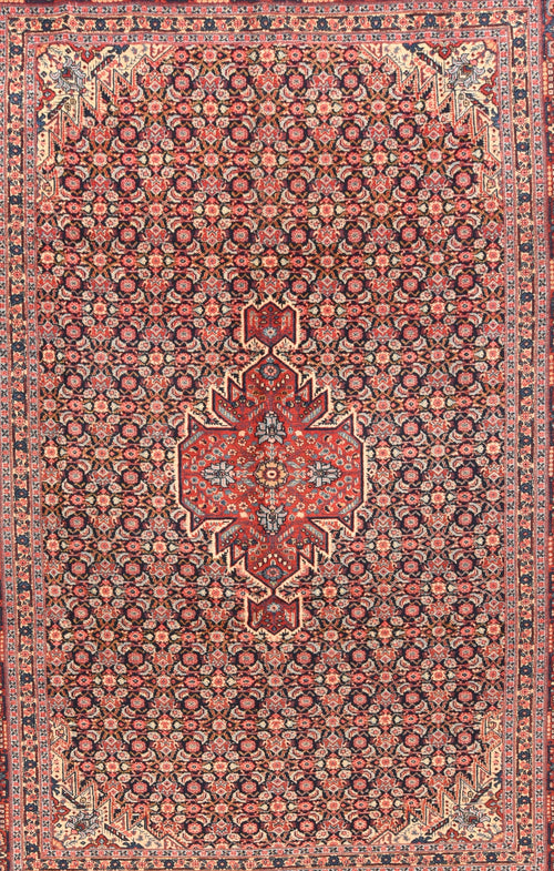 Antique Tabriz - Senneh Area Rug