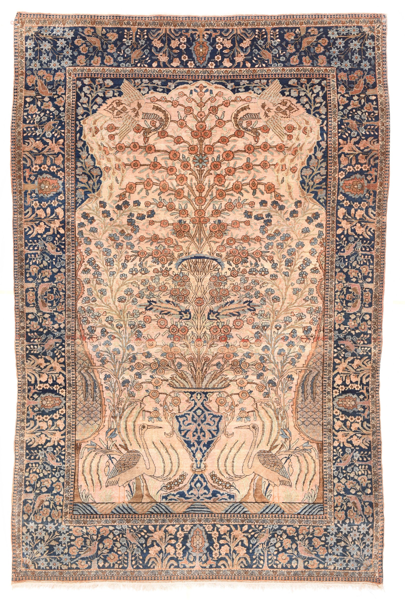 Area Rug 128