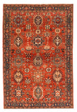 Area Rug 1298