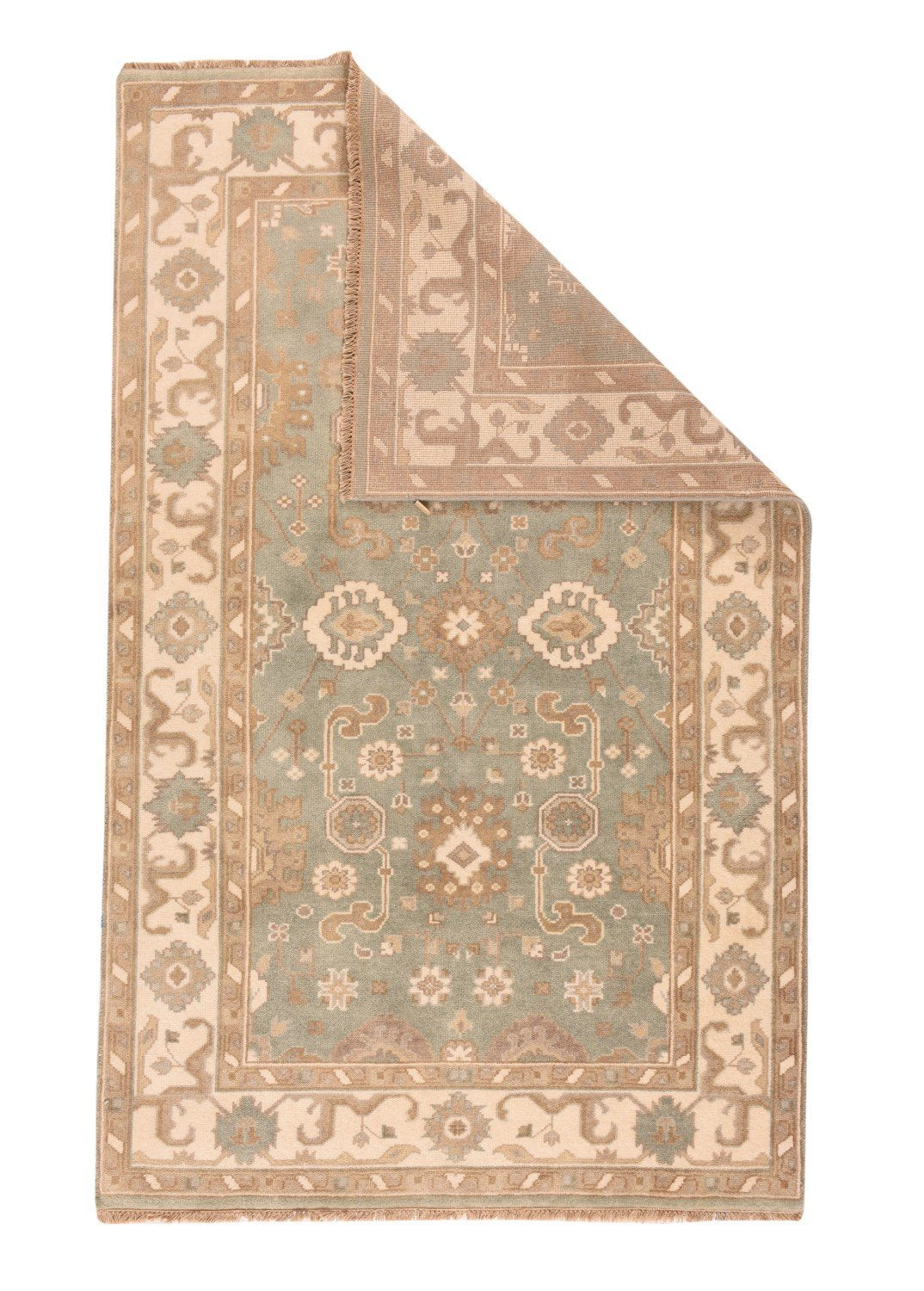 Area Rug 1338