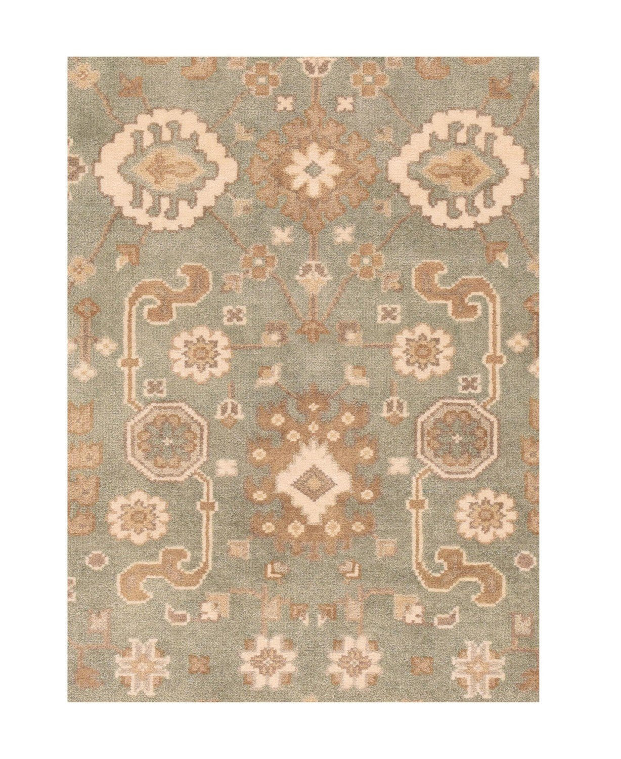 Area Rug 1338