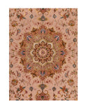 Excellent Tabriz Mahi Design Area Rug