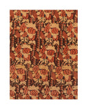 Area Rug 1439