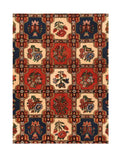 Area Rug 1444