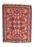 Area Rug 1461