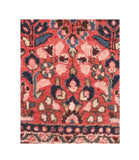 Area Rug 1461