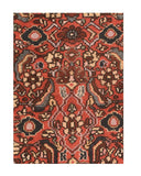 Area Rug 1469