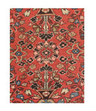 Area Rug 1471