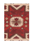 Area Rug 1476