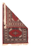 Semi Pak Bokara Area Rug