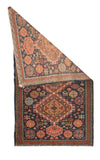 Area Rug 1479