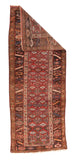 Area Rug 1487