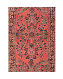 Area Rug 1491