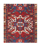 Area Rug 1519