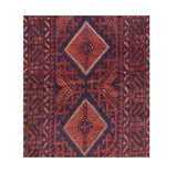 Area Rug 1551