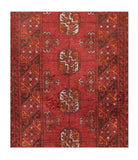 Area Rug 1553