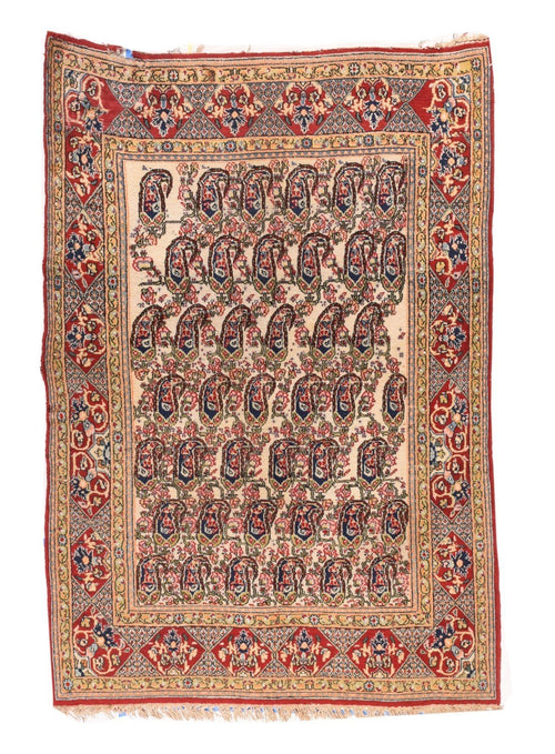 Area Rug 1555