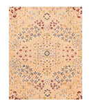 Area Rug 1557