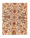 Area Rug 1560