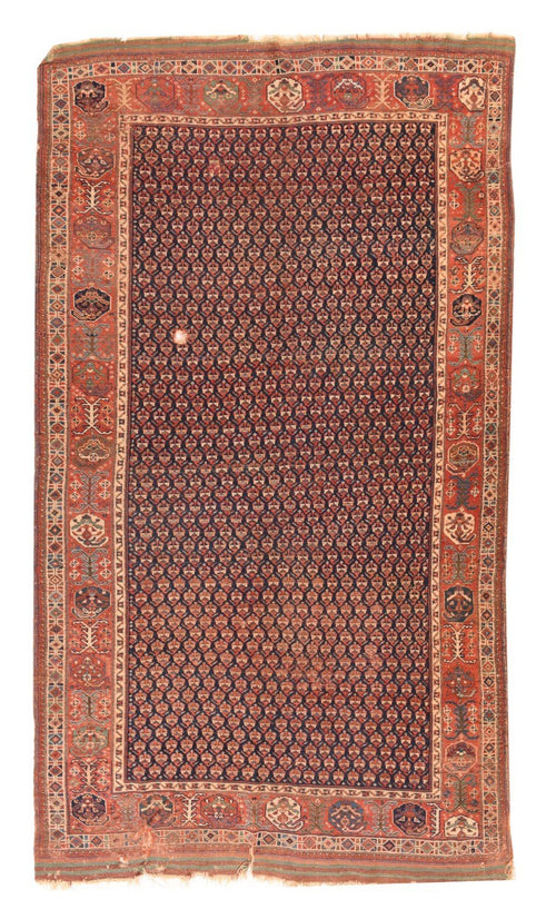 Area Rug 1561