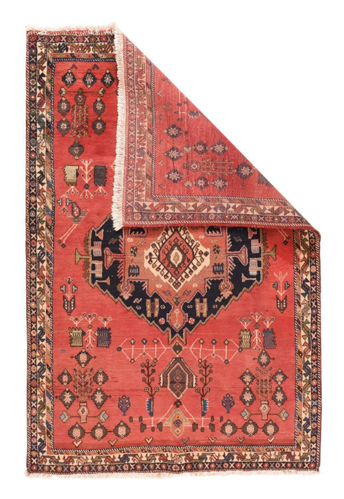 Area Rug 1574