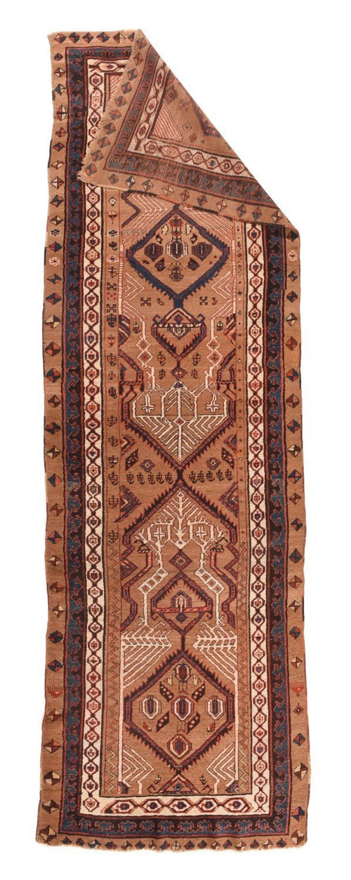 Area Rug 1583