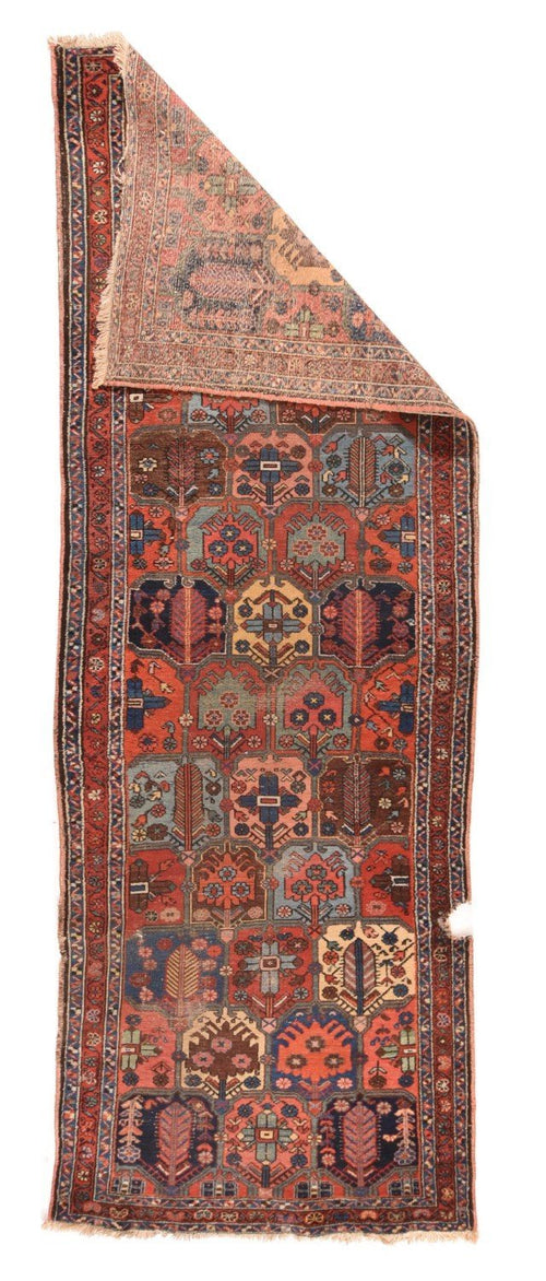 Area Rug 1589