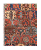 Area Rug 1589