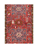 Area Rug 1591