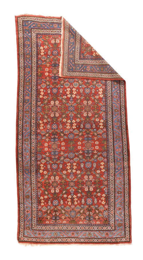 Area Rug 1595