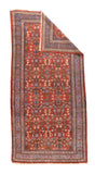 Area Rug 1595