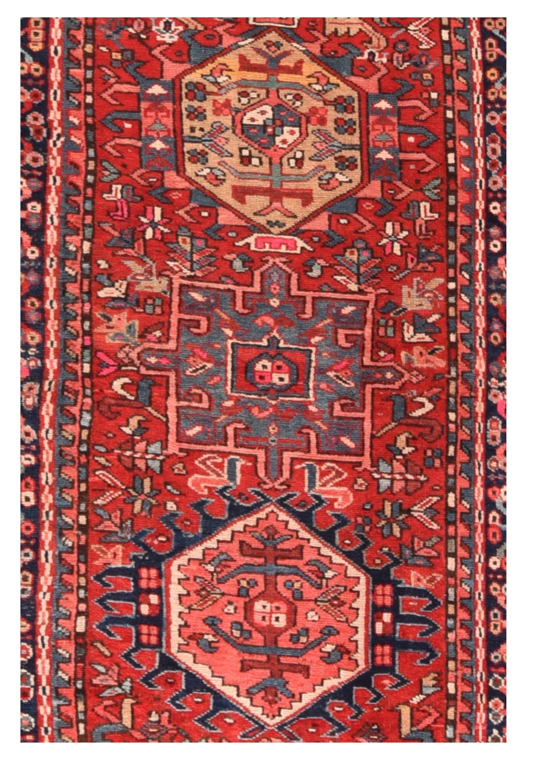 Area Rug 1601