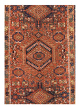 Area Rug 1606