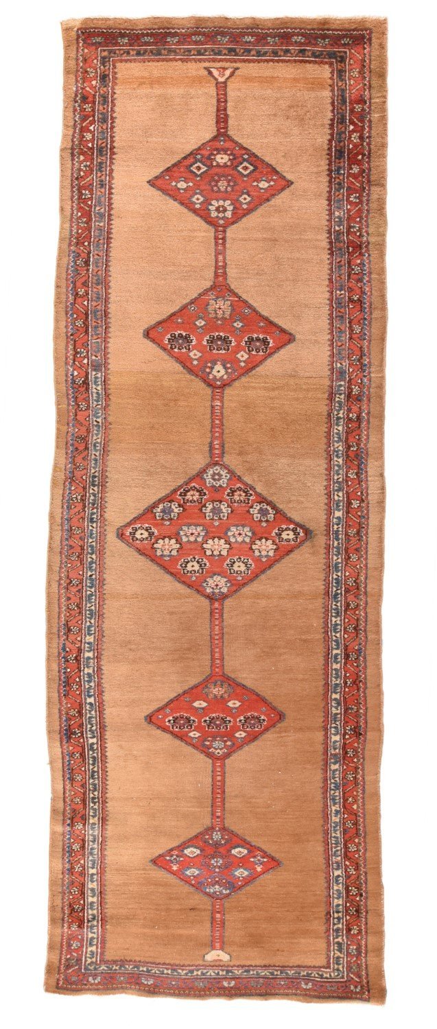 Area Rug 1607