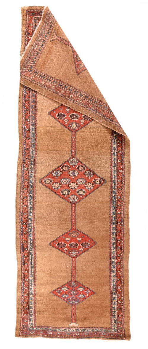 Area Rug 1607