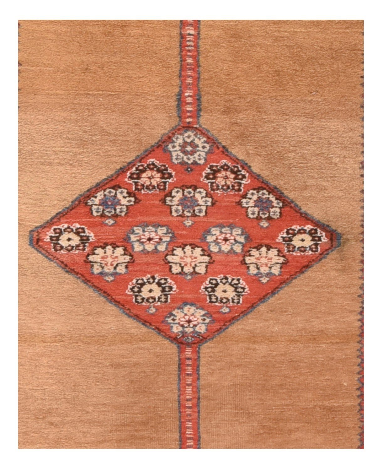 Area Rug 1607