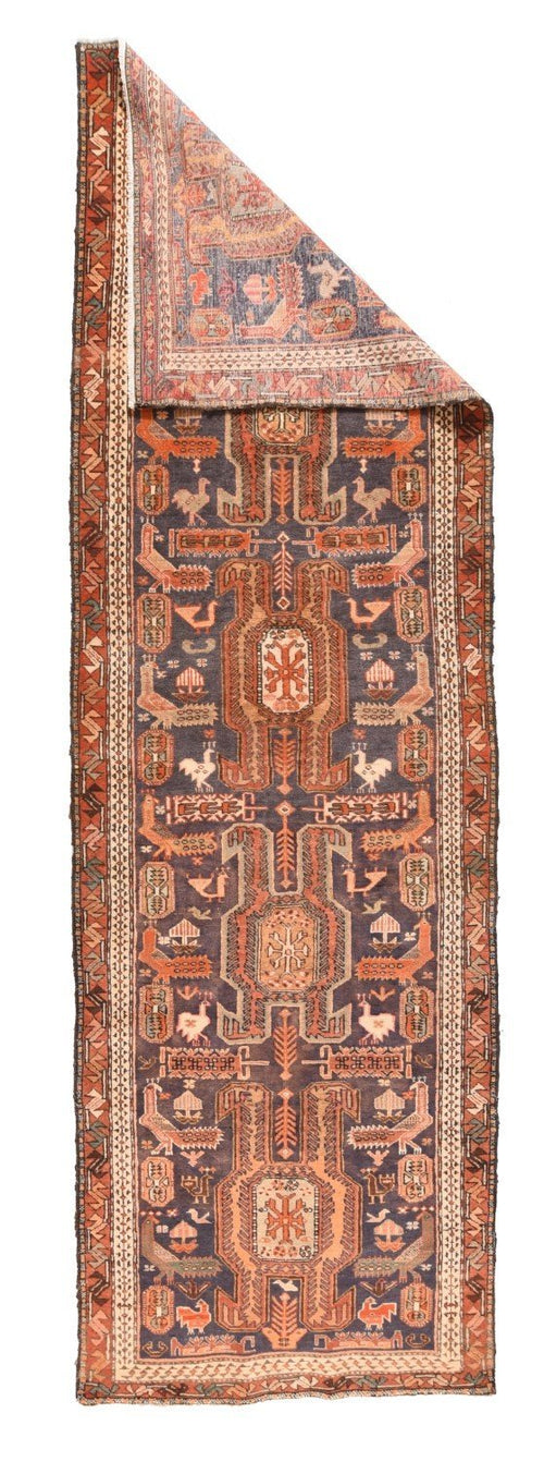 Area Rug 1613