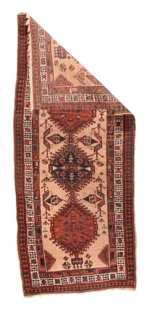 Area Rug 1625